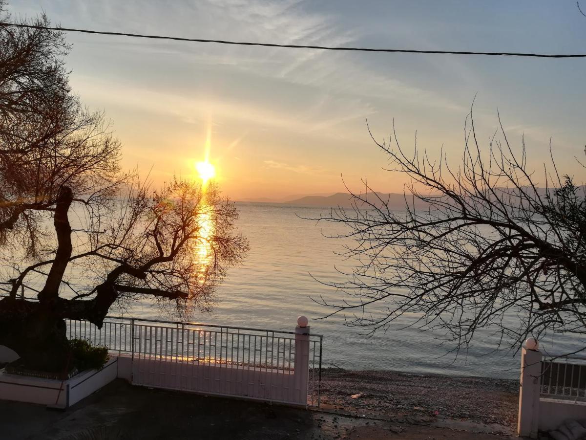 Akrogiali Αγιόκαμπος Εξωτερικό φωτογραφία